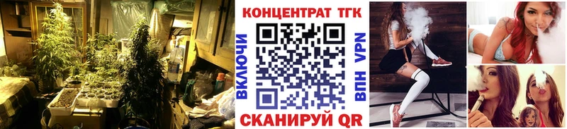 Купить закладки  Певек  ТГК гашишное масло 